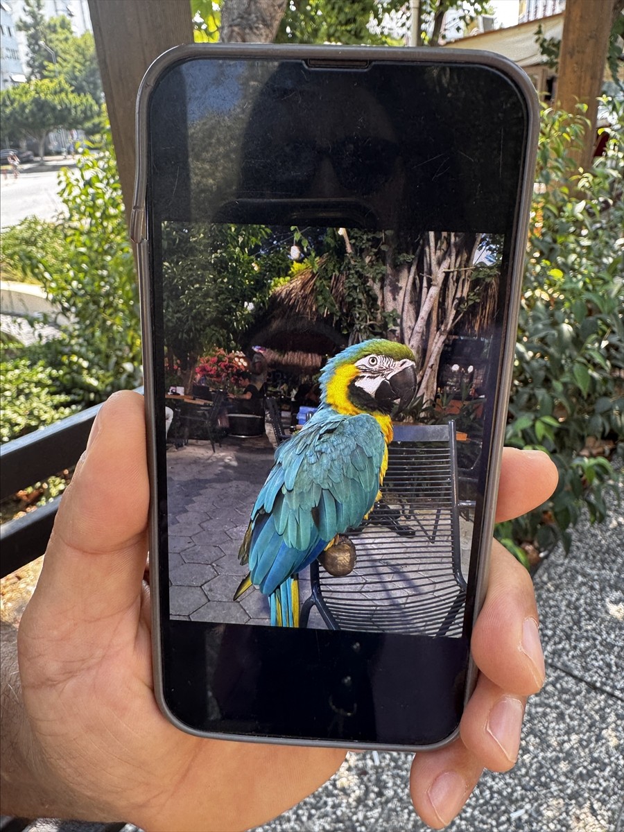 Antalya'nın Konyaaltı ilçesinde yaşayan Metin Suna, 28 yıldır sahiplendiği "Cabbar" adındaki...