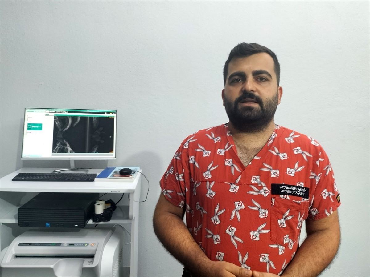 Antalya'nın Manavgat ilçesinde yürütülen deniz kaplumbağası izleme çalışmaları sırasında nadir...