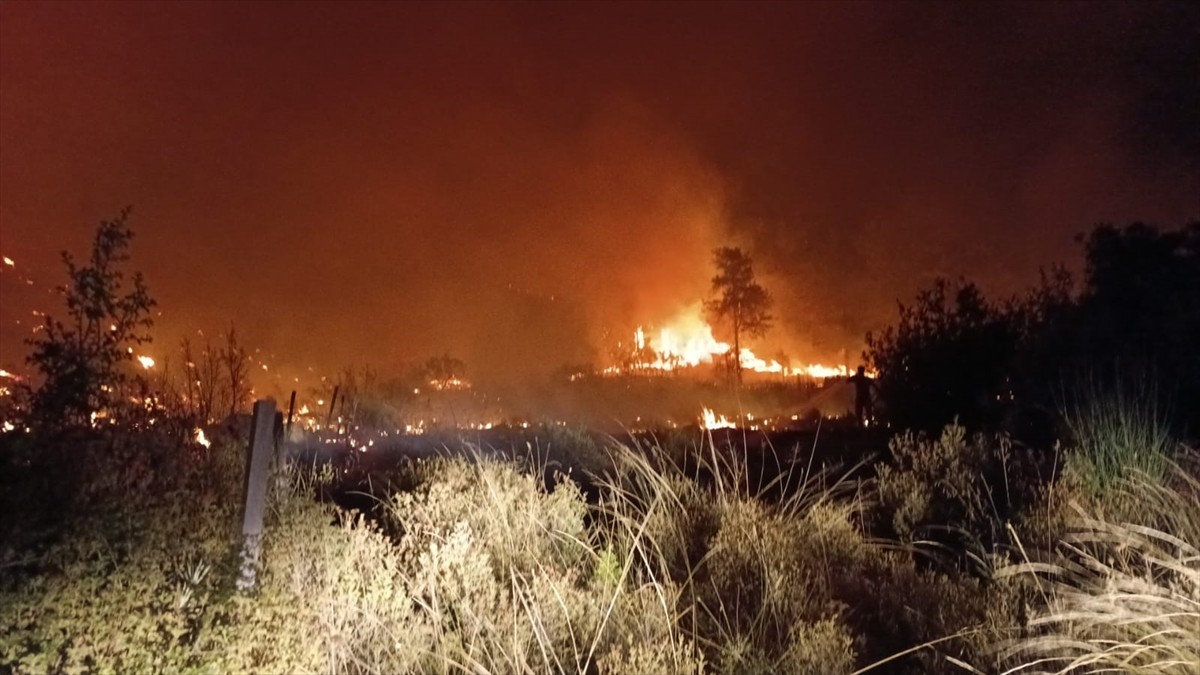 Antalya'nın Serik ilçesinde tarım arazisinde çıkan ve ormanlık alana sıçrayan yangın...