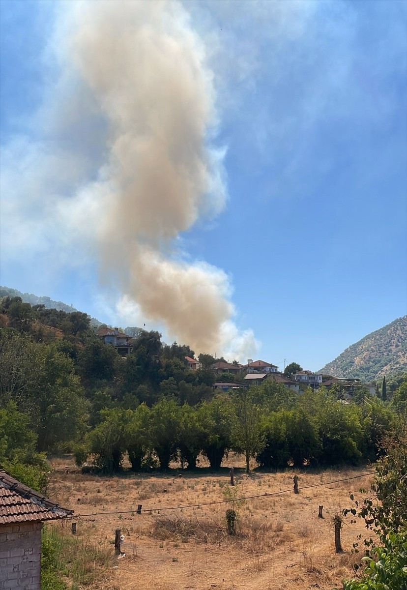 Aydın'ın Köşk ilçesinde zeytinlik alanda henüz belirlenemeyen nedenle yangın çıktı.