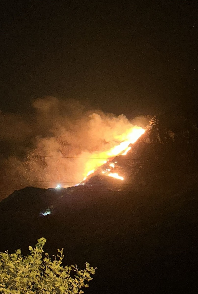Balıkesir'e bağlı Marmara Adası'ndaki ormanlık alanda çıkan yangına karadan müdahale...