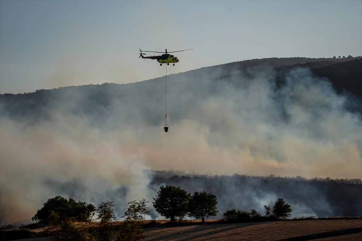 Balıkesir'in Susurluk ilçesinde çıkan orman yangınına havadan ve karadan müdahale ediliyor.