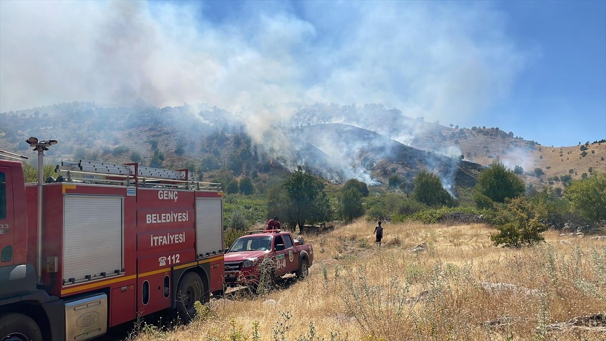 Bingöl'ün Genç ilçesinde ormanlık alanda çıkan yangına müdahale ediliyor.