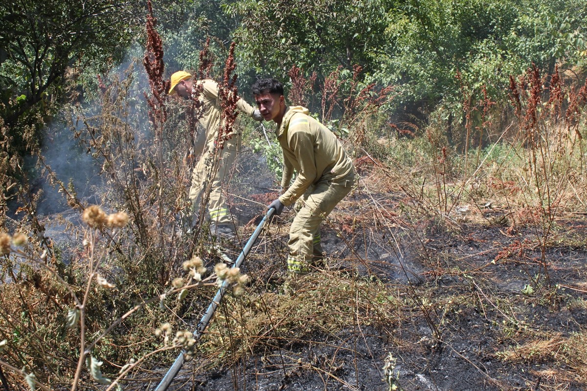 Bitlis'in Hizan ilçesinde ağaçlık alanda çıkan yangın, ekiplerin müdahalesiyle...