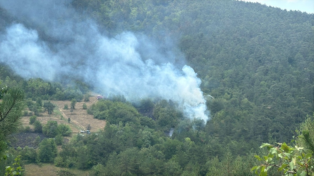 Bolu'da ormanlık alanda çıkan yangın, ekiplerce söndürülmeye çalışılıyor.