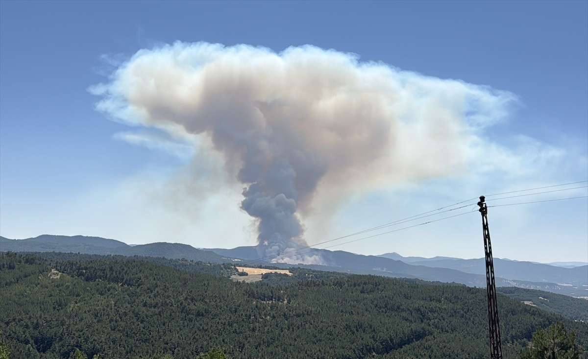 Bolu'nun Mudurnu ilçesinde çıkan orman yangınına havadan ve karadan müdahale başlatıldı.