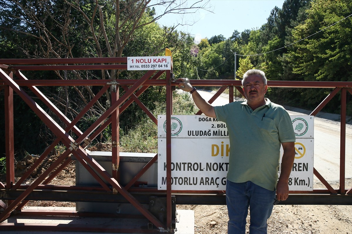 Bursa'nın Kestel ilçesine bağlı Orhaniye Mahallesi'nin muhtarı Osman Yıldız, ormana izinsiz...