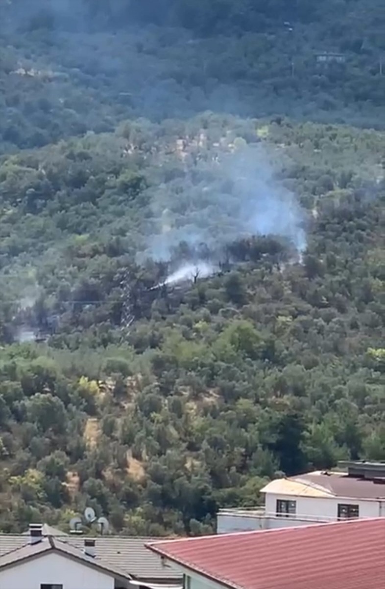 Bursa'nın Mudanya ilçesinde zeytinlikte çıkan yangın söndürüldü.