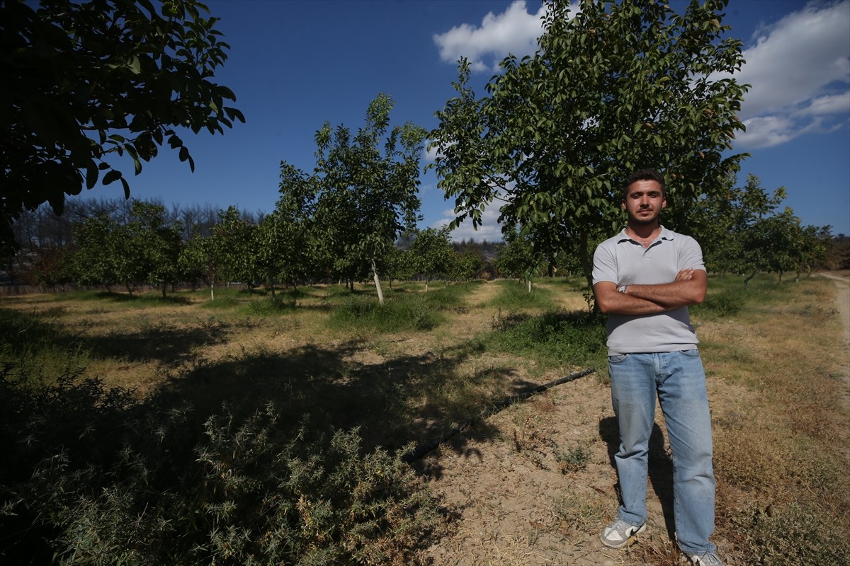 Çanakkale'de son haftalarda çıkan yangınların bazı tarım arazilerini teğet geçmesi, zirai...