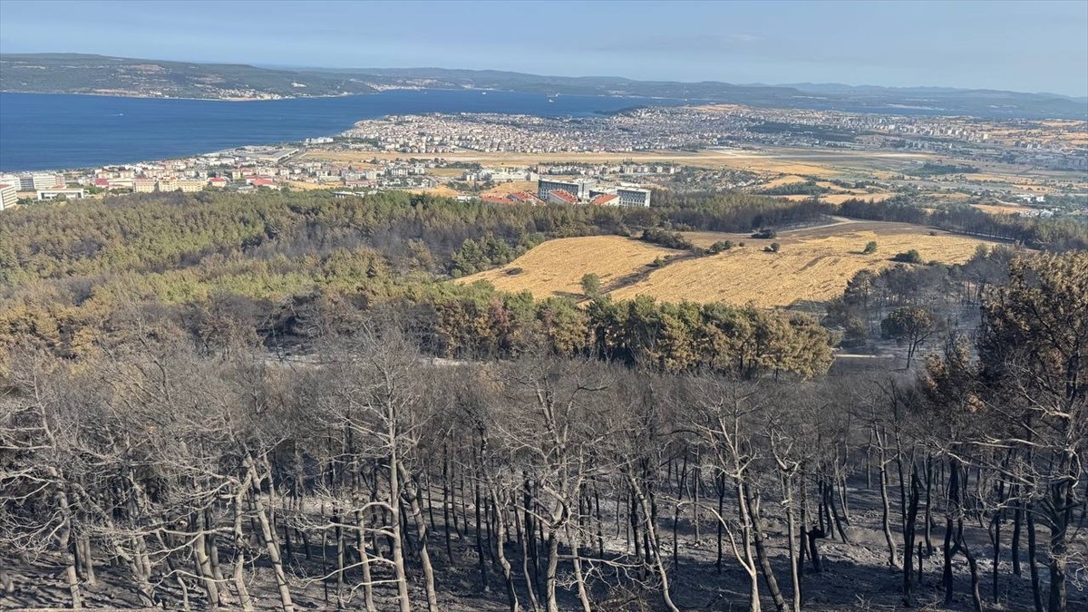 Çanakkale'de tarım arazisinde başlayıp ormanlık alana sıçrayan ve büyük oranda kontrol altına...