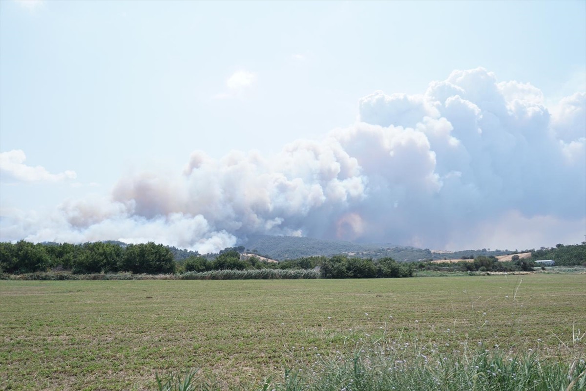 Çanakkale'de tarım arazisinde başlayıp ormanlık alana sıçrayan yangına havadan ve karadan müdahale...