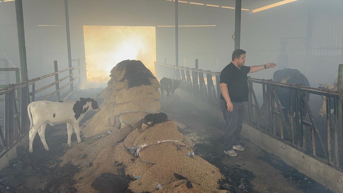 Çanakkale'nin Çan ilçesindeki ahırda çıkan yangın, ekiplerin müdahalesiyle söndürüldü.  Ahırdaki...