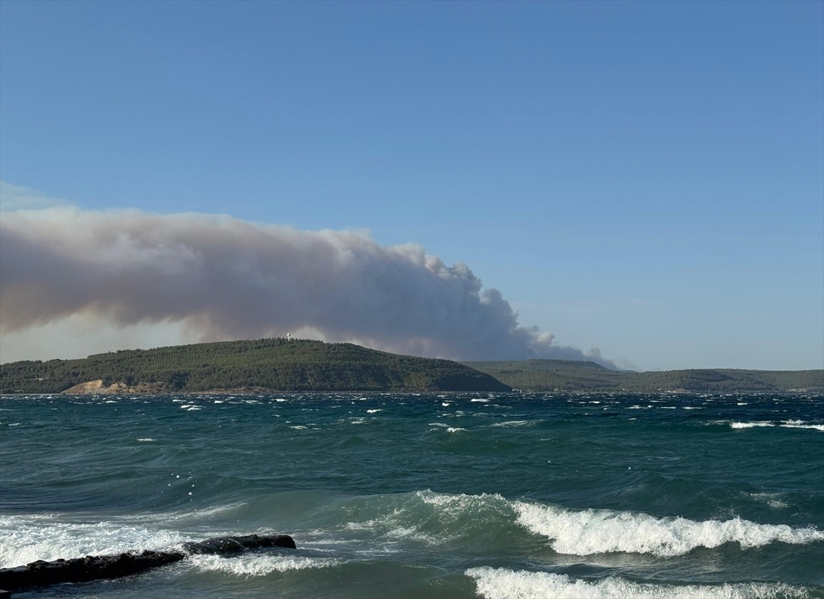 Çanakkale'nin Gelibolu ilçesinde ormanlık alanda çıkan yangına havadan ve karadan müdahale...