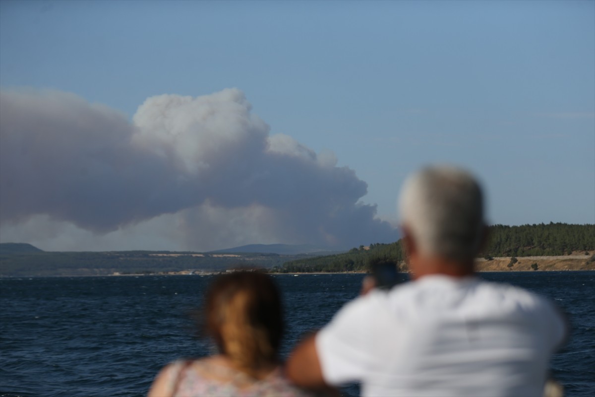Çanakkale'nin Gelibolu ilçesindeki ormanlık alanda belirlenemeyen bir nedenle yangın çıktı....