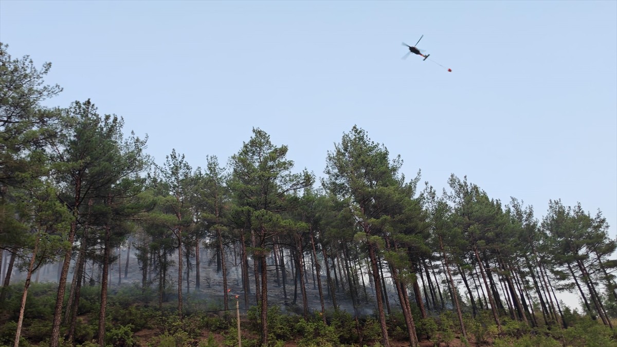 Denizli'nin Acıpayam ilçesinde çıkan orman yangınına havadan ve karadan müdahale ediliyor.