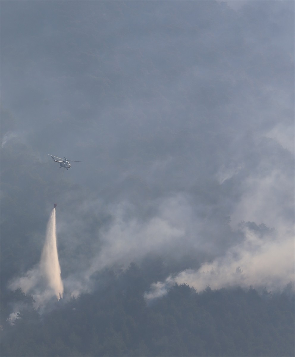 Denizli'nin Pamukkale ilçesindeki orman yangını büyük ölçüde kontrol altına alındı. Yangına...