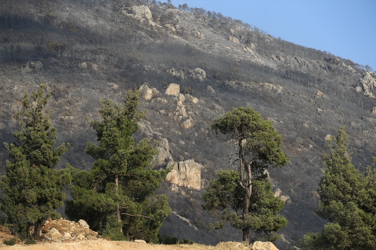Denizli'nin Pamukkale ilçesindeki orman yangını kontrol altına alındı. Bölgede soğutma çalışmaları...
