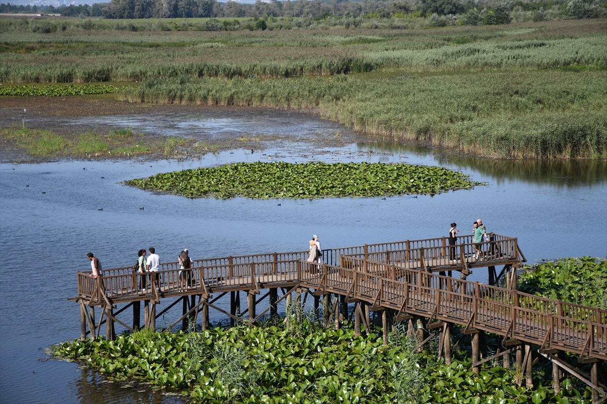Düzce'nin Gölyaka ilçesinde yer alan Efteni Gölü Kuş Cenneti, hafta sonu doğaseverlerin tercih...