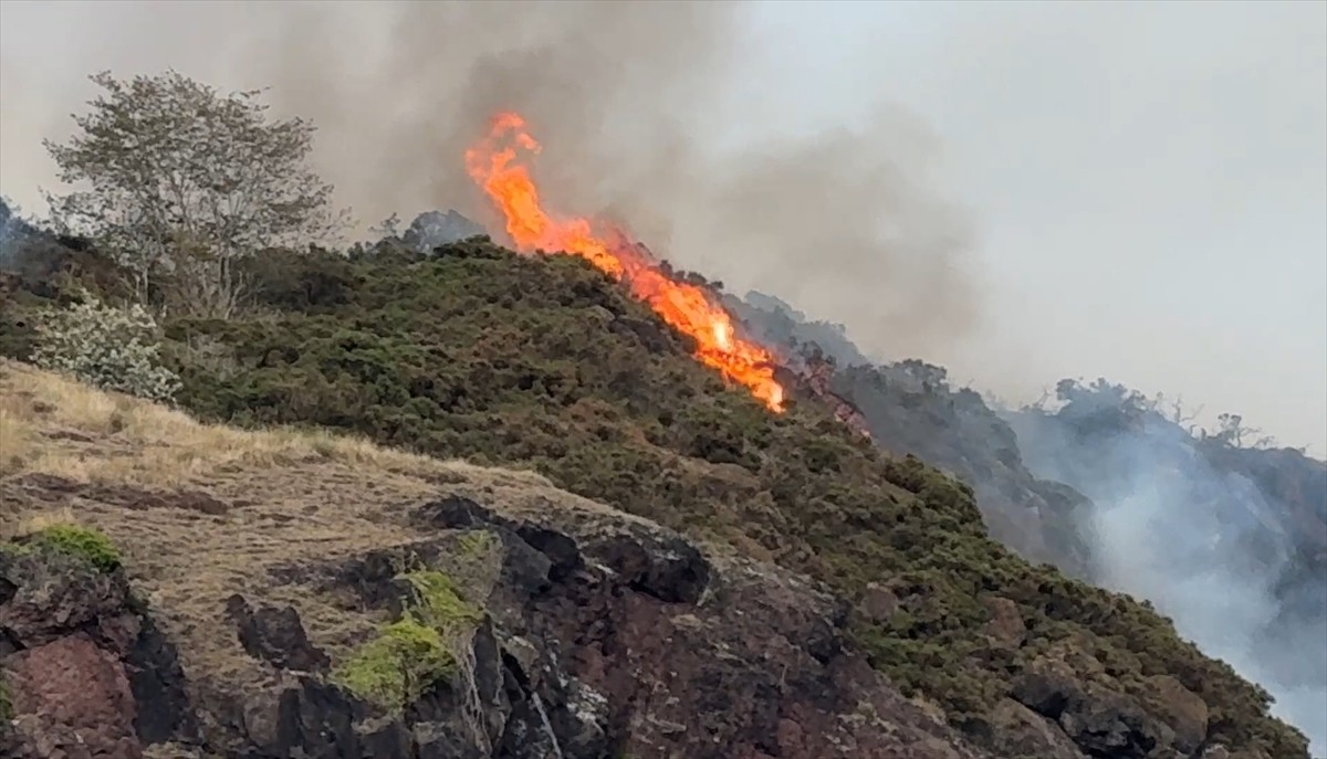 Edinburgh’daki ünlü turistik nokta Arthur’s Seat’te büyük bir orman yangını çıktı. Şehir...
