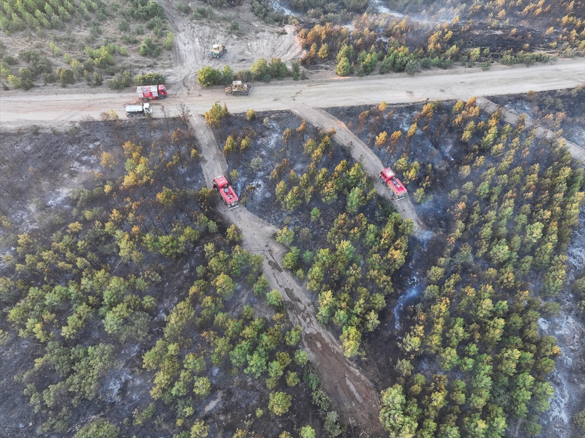 Edirne'nin Enez ilçesi Büyükevren ve Gülçavuş köylerindeki orman yangını kontrol altına alındı....