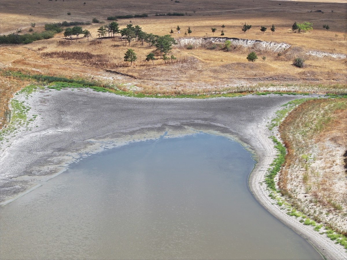 Edirne'nin merkeze bağlı Demirhanlı köyündeki göletin su seviyesi, kuraklık ve aşırı sıcaklara...