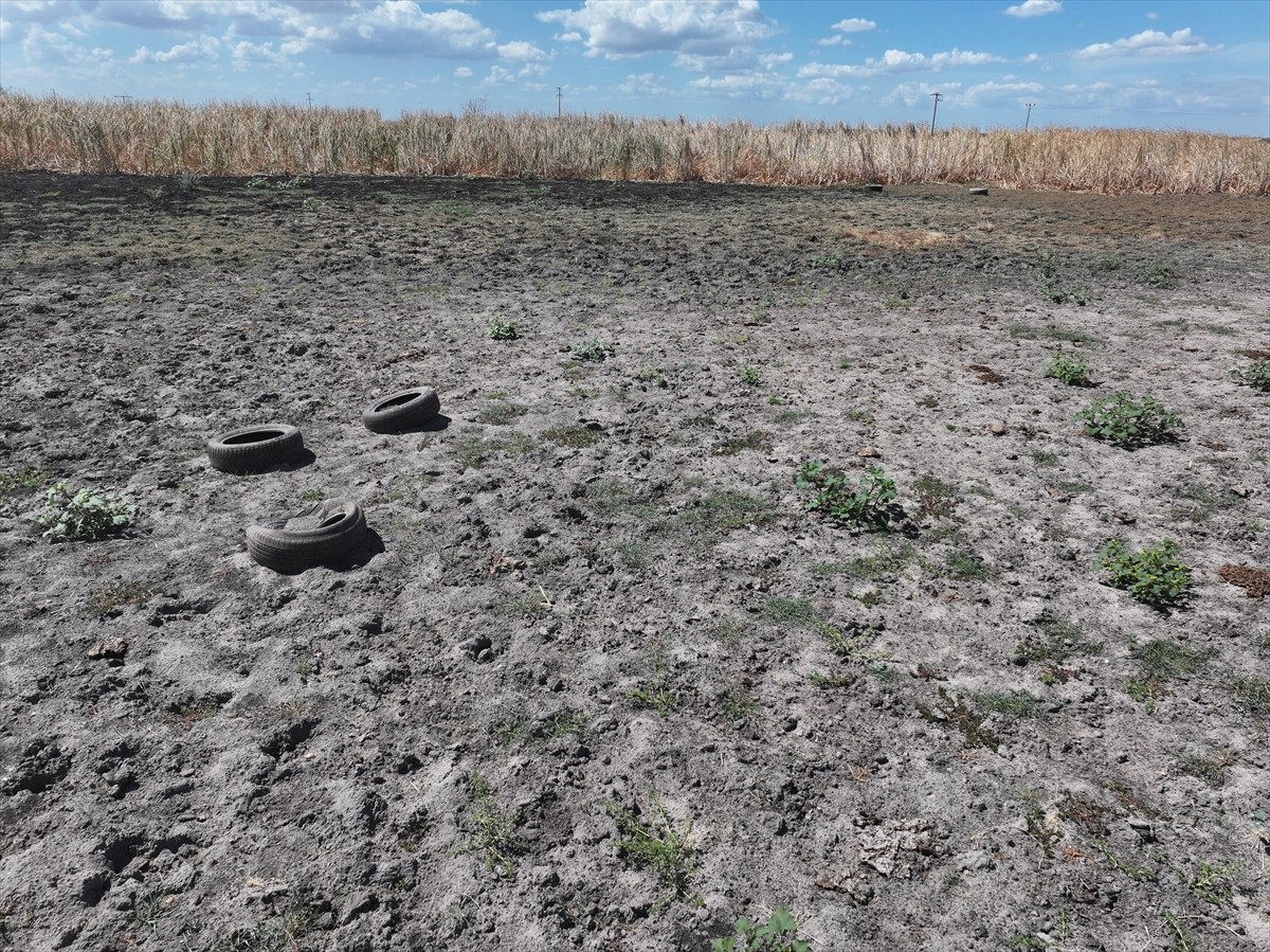 Edirne'nin Süloğlu ilçesine bağlı Yağcılı köyünde bulunan gölet, kuraklık ve aşırı sıcaklar...