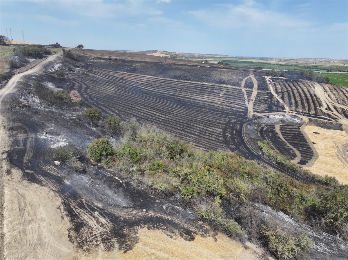 Edirne’de anızda başlayıp ağaçlık alana sıçrayan yangın ekiplerin müdahalesiyle söndürüldü....