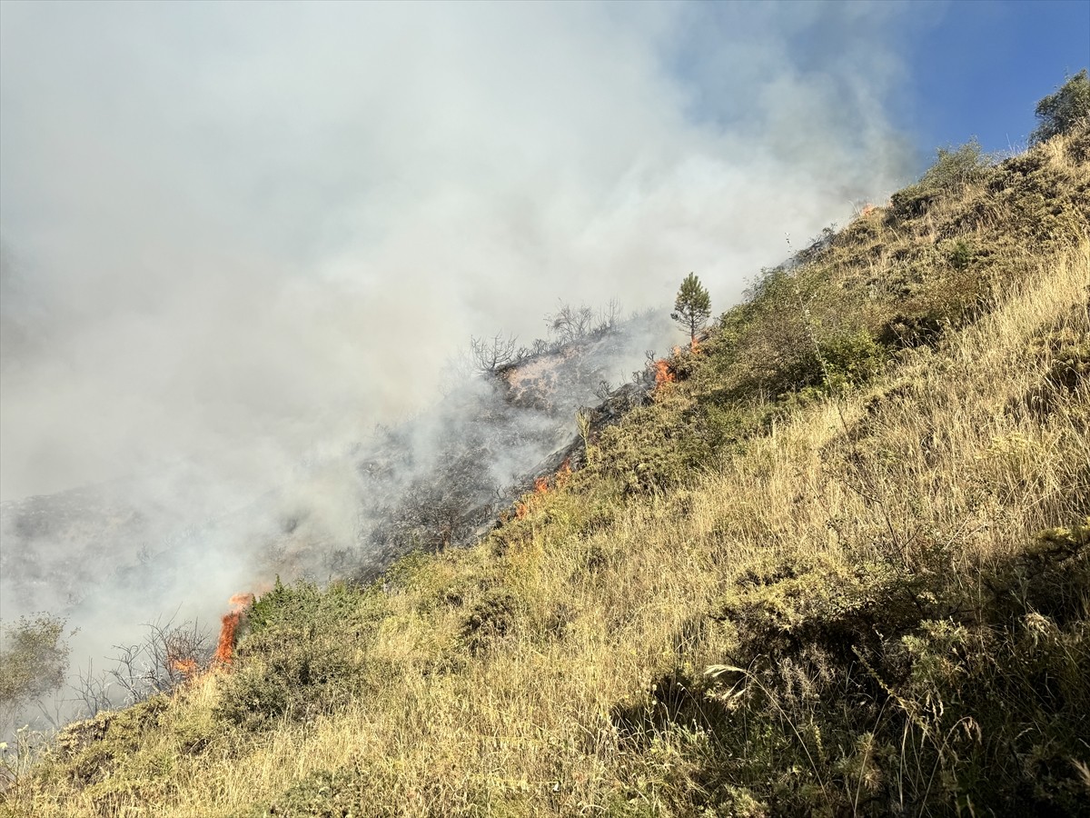 Erzurum'un Oltu ilçesinde çıkan örtü yangını söndürüldü.