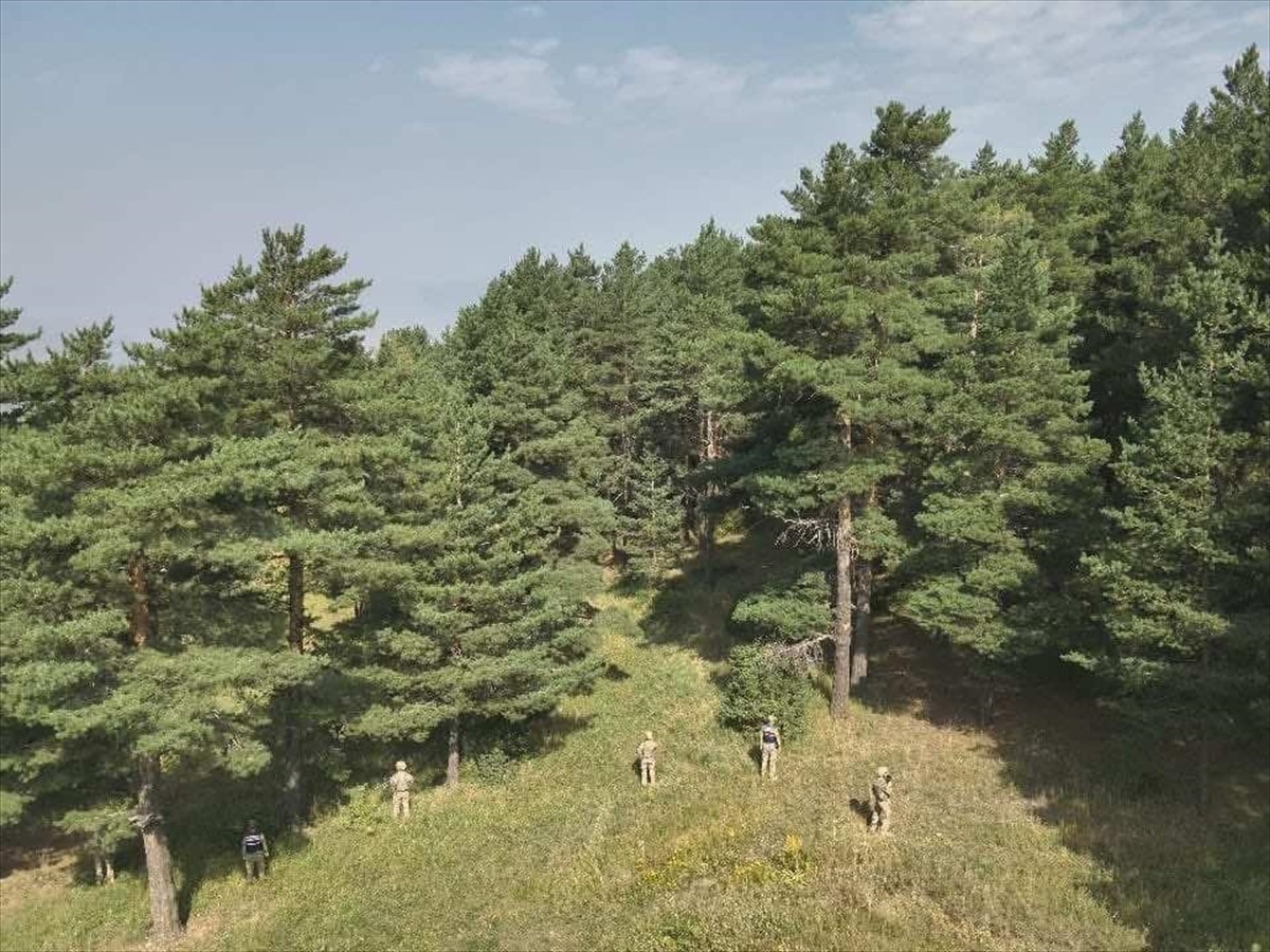 Erzurum'un Oltu ve Şenkaya ilçelerinde, ormanlık alanda mangal yakarak piknik yapan 2 kişiye 5 bin...