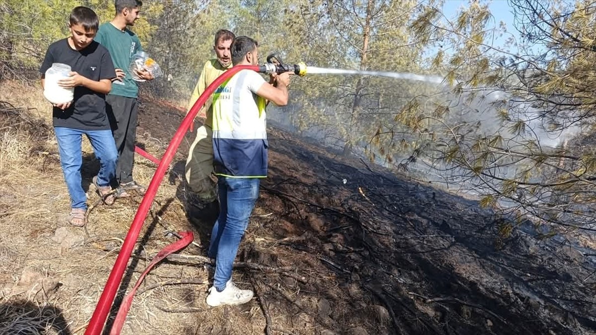 Gaziantep'in Nurdağı ilçesinde, Kırsal Torunlar Mahallesi Katrancı mevkisinde çıkan orman yangını...