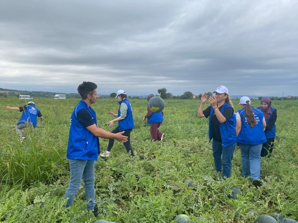 Gençlik ve Spor Bakanlığı tarafından başlatılan "Gönüllü Hasat Etkinliği" kapsamında, Samsun'un...