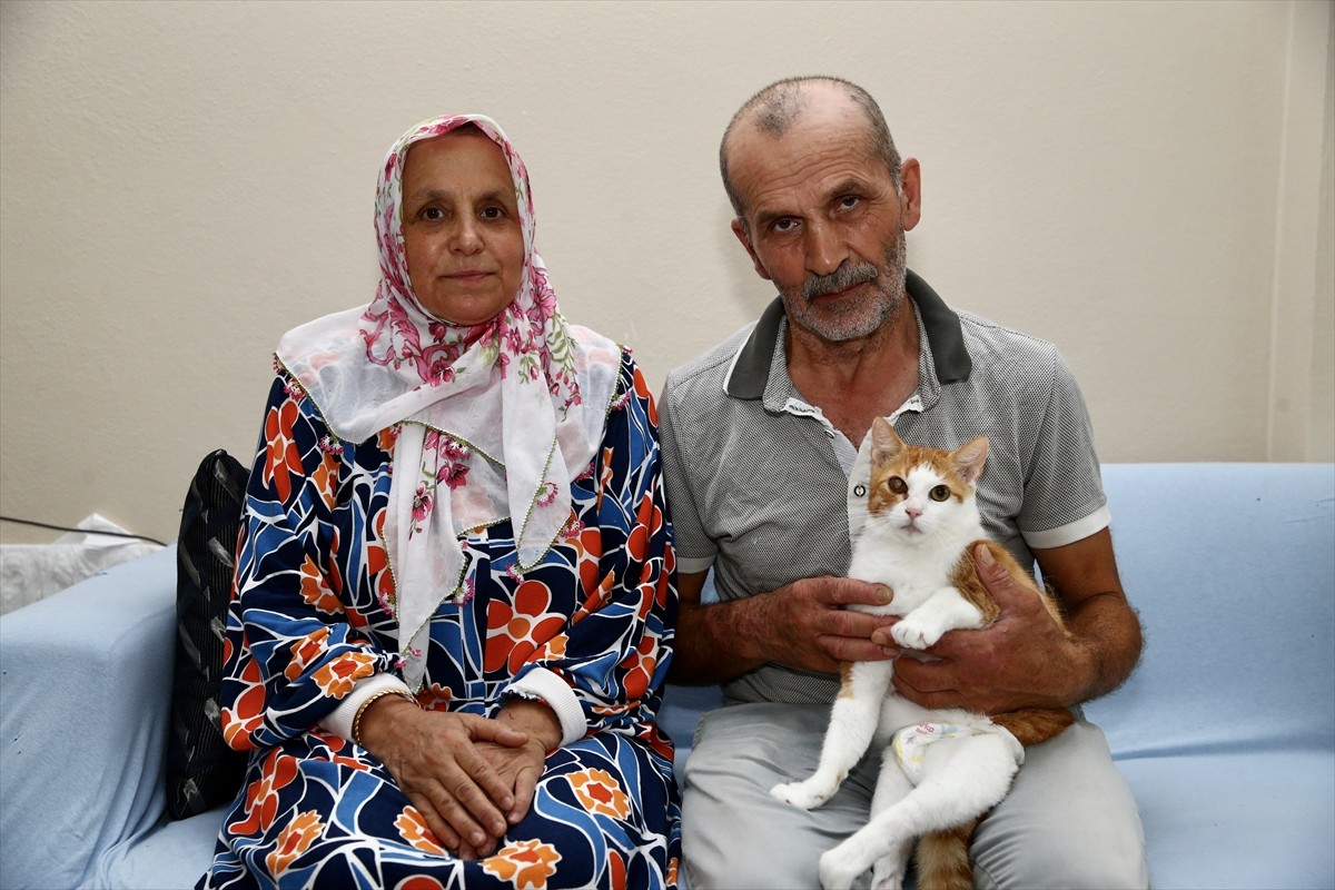 Giresun'da bazıları engelli 25 kedinin yaşama tutunmasını sağlayan Temel Sezer, sahipsiz kediler...