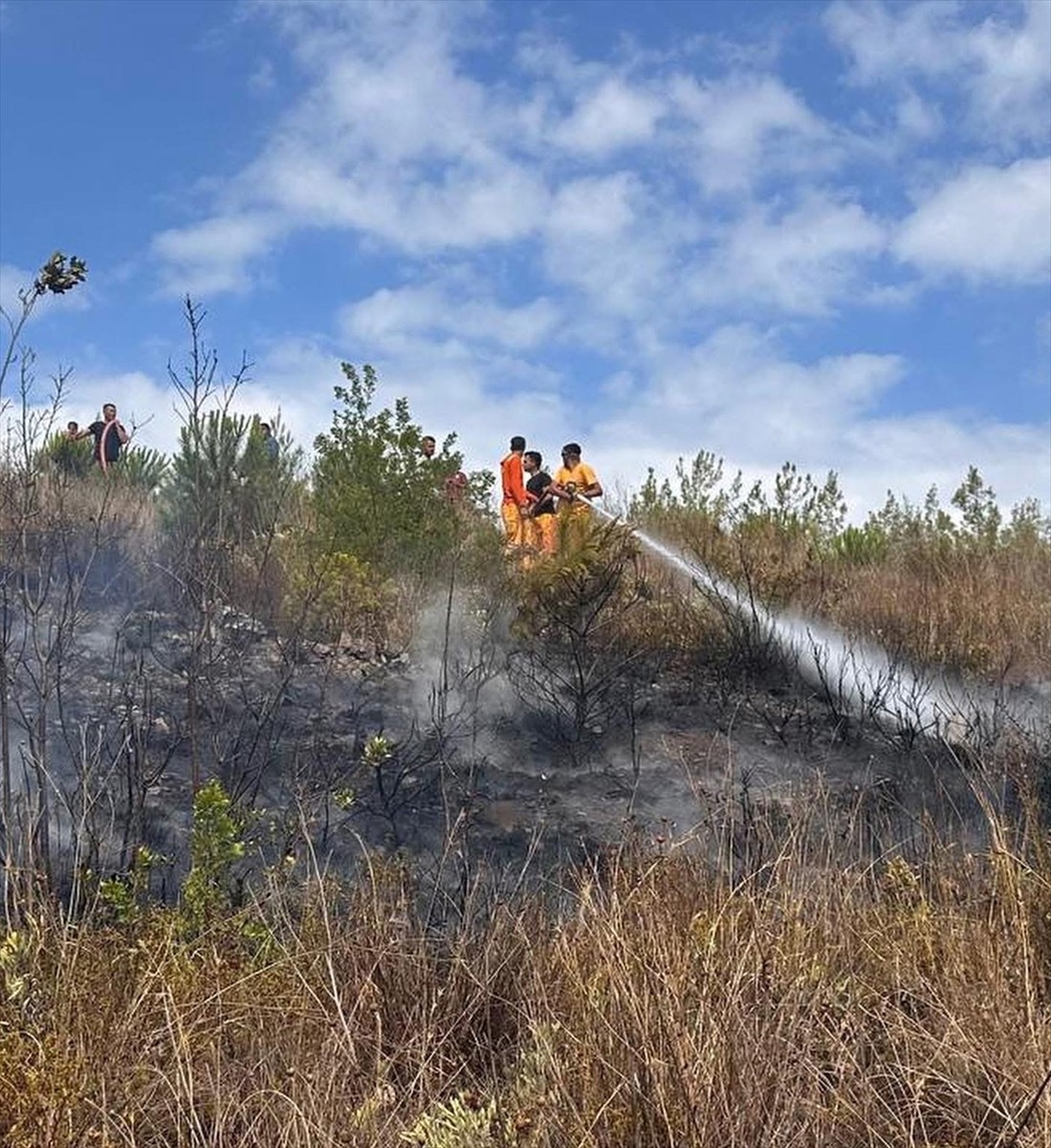 Hatay'ın Arsuz ilçesinde ormanlık alanda çıkan yangın, ekiplerin havadan ve karadan müdahalesiyle...