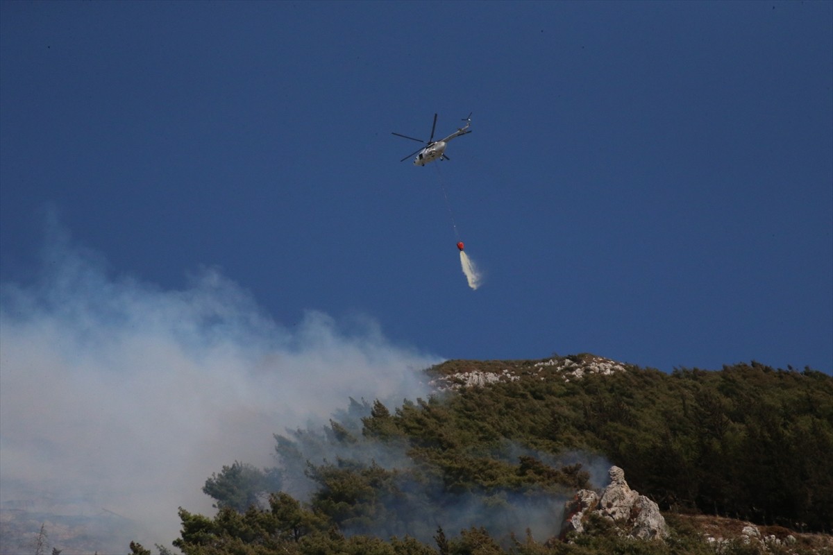 Hatay'ın merkez Antakya ilçesinde çıkan orman yangınına havadan ve karadan müdahale ediliyor.