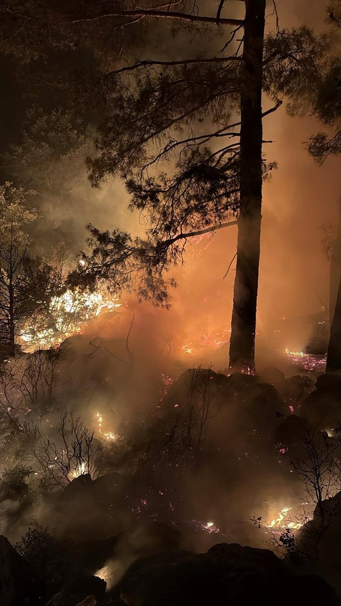Isparta'da ormanlık alanda çıkan yangın ekiplerin müdahalesiyle kontrol altına alındı.