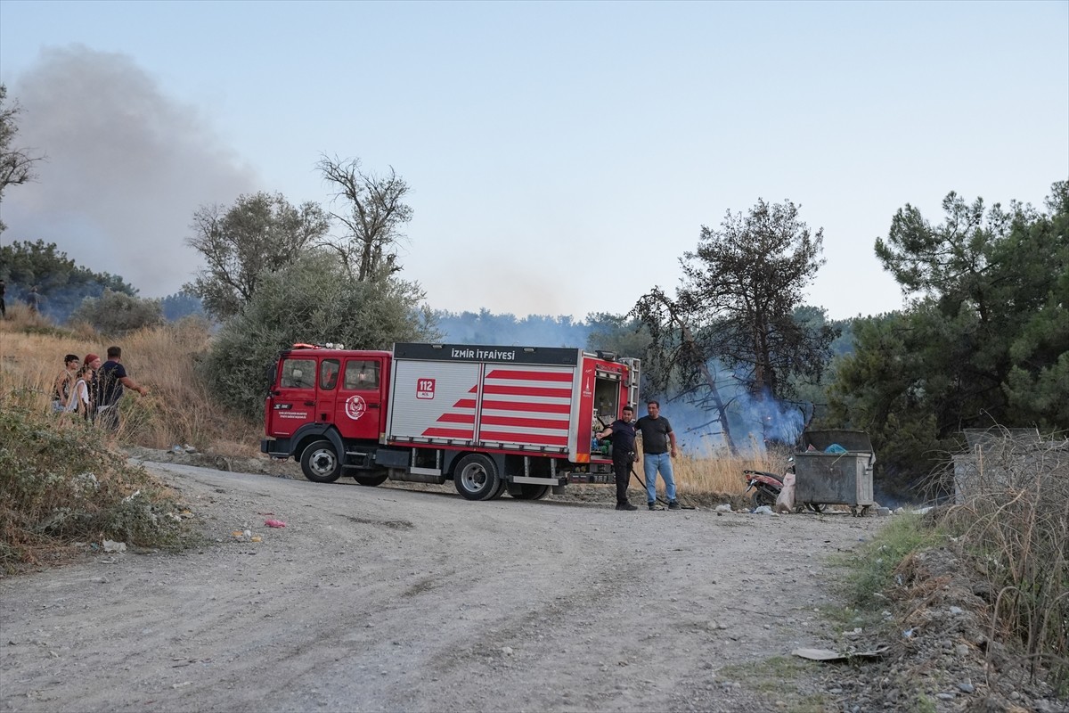İzmir'in Bornova ilçesinde otlukta başlayarak ormanlık alana sıçrayan yangına müdahale...