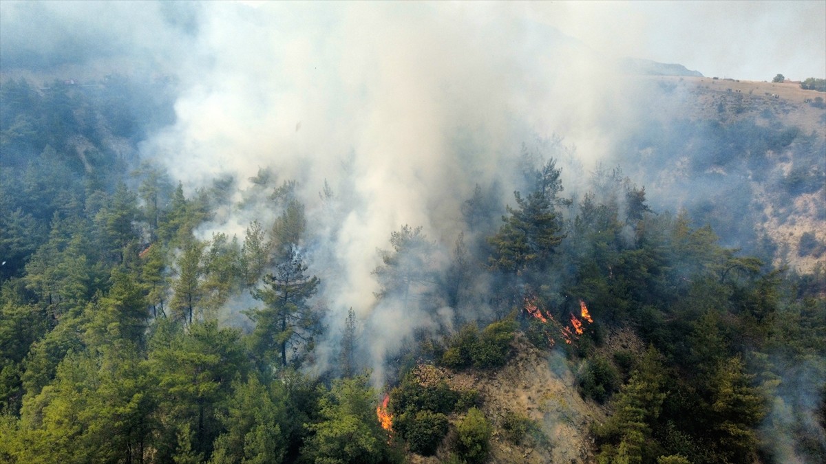 Karabük'te çıkan orman yangınını söndürmek için çalışma başlatıldı.