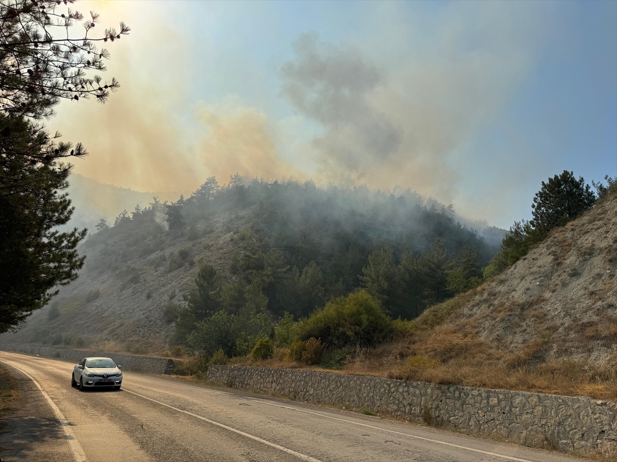Karabük'te çıkan orman yangınını söndürmek için çalışma başlatıldı.