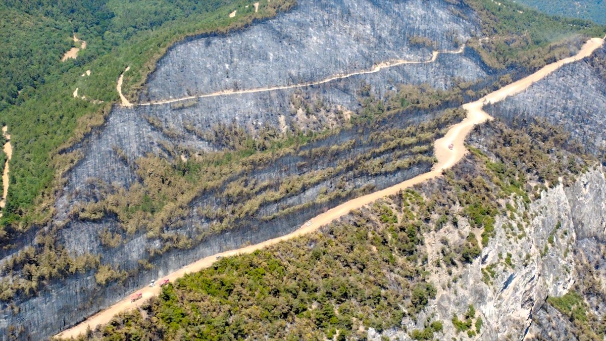 Karabük’te, havadan ve karadan yaklaşık 31 saat süren müdahaleyle kontrol altına alınan yangında...