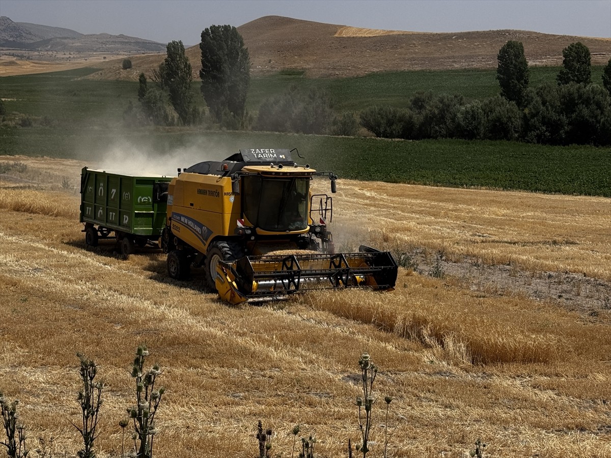 Kayseri İl Tarım ve Orman Müdürü Bülent Saklav, ekili tarım arazisi yüzde 21,69 artan kentte...