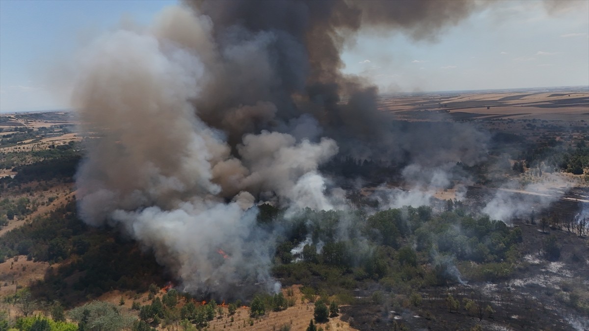 Kırklareli'nin Babaeski ilçesinde ağaçlık alanda çıkan yangın nedeniyle Avrupa Otoyolu trafiğe...