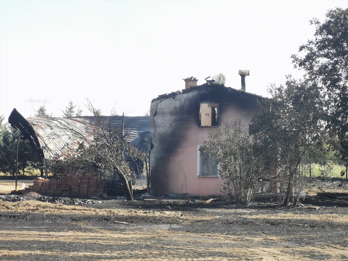 Kırklareli'nin Lüleburgaz ilçesinde çıkan anız yangınında 3 bağ evi, ağıl, otomobil ile çok sayıda...