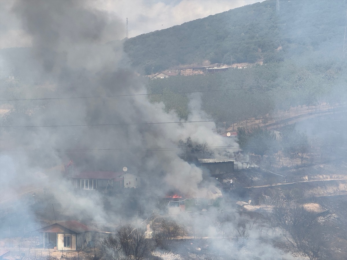 Kocaeli'nin Derince ilçesinde otluk alanda çıkan yangını söndürmek için havadan ve karadan çalışma...