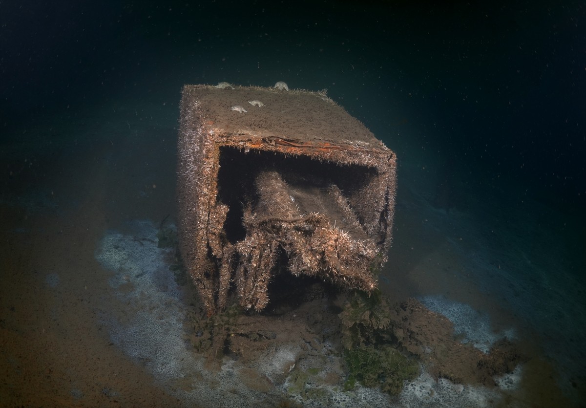 Kocaeli'nin Gölcük ilçesinde 17 Ağustos 1999 Marmara Depremi'nde denizin altında kalan "batık...