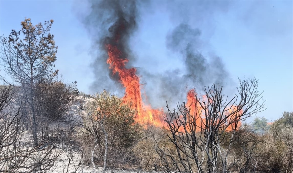 Kuzey Kıbrıs Türk Cumhuriyeti'nin (KKTC) Girne kentinde çıkan orman yangını, havadan ve karadan...