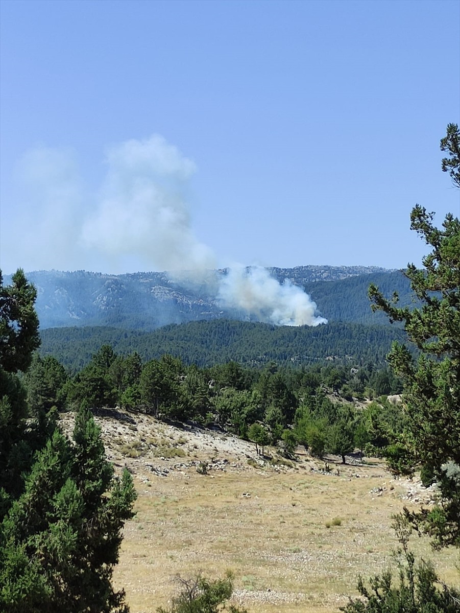 Mersin'in Bozyazı ilçesinde ormanlık alanda çıkan yangının kontrol altına alınması için havadan ve...