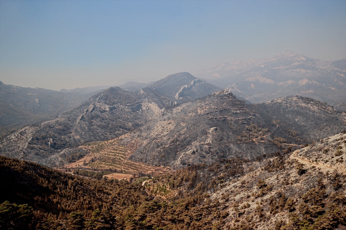 Mersin'in Silifke ilçesinde, iki gün önce çıkan orman yangını havadan ve karadan müdahaleyle büyük...