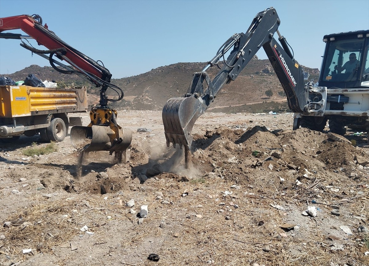 Muğla'nın Bodrum ilçesinde sahilde ölü yunus bulundu.