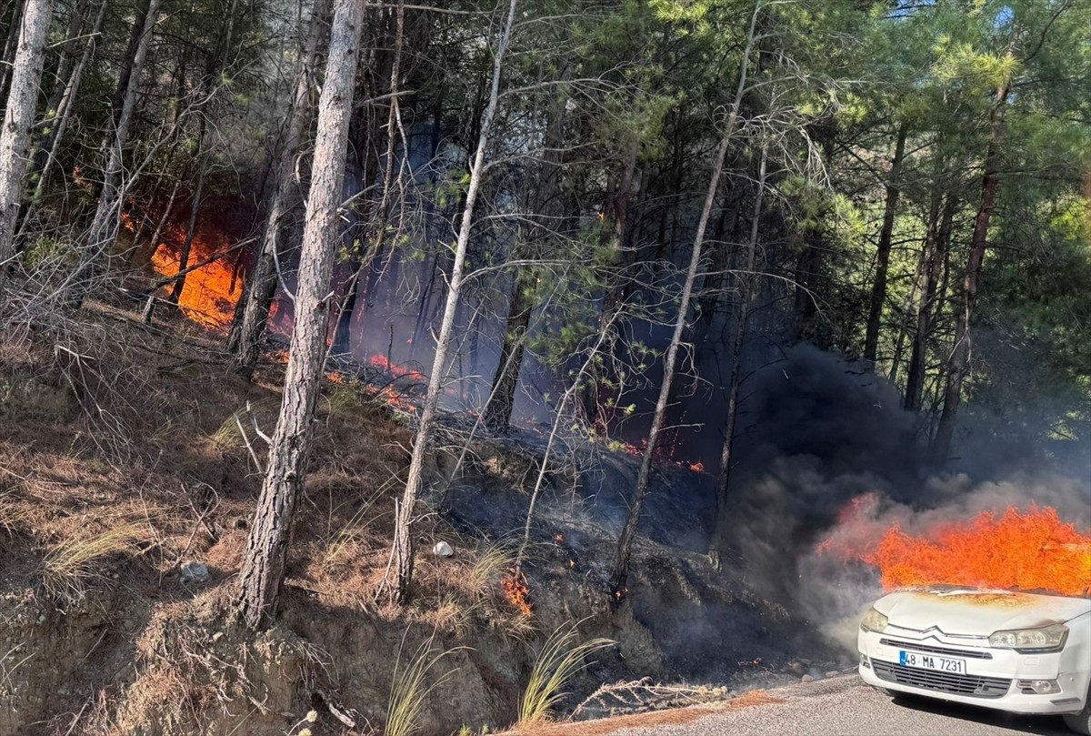 Muğla'nın Dalaman ilçesinde otomobilde çıkan ve ormana sıçrayan yangın, ekiplerin müdahalesiyle...