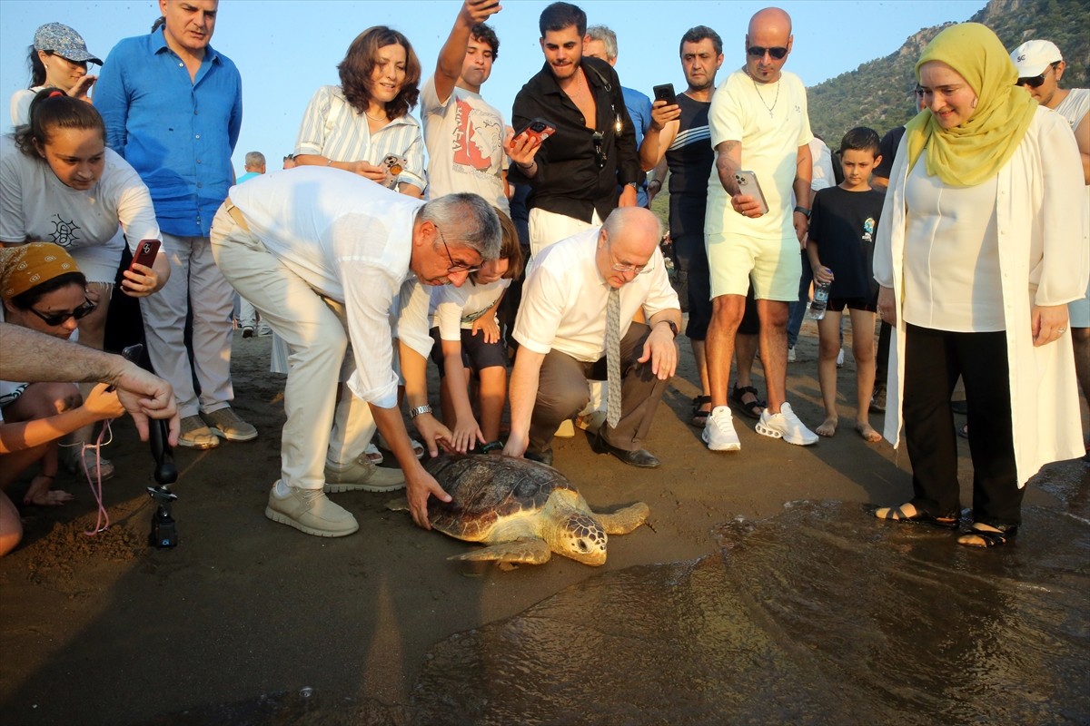 Muğla'nın Ortaca ilçesindeki Deniz Kaplumbağası Araştırma Kurtarma Rehabilitasyon Merkezi...